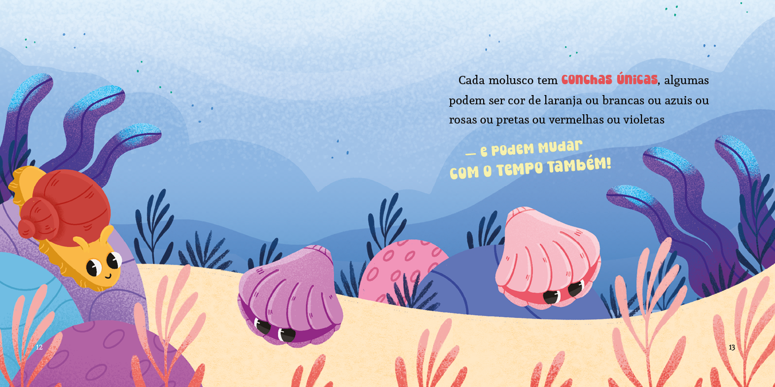MioloML_A Vida das Conchas Partidas3